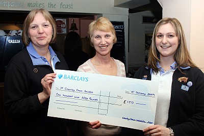 Crawley DOwn Guides - £150